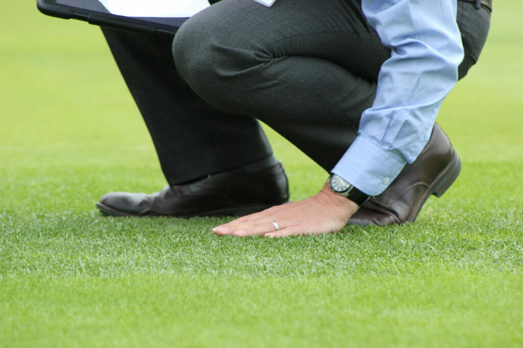 Designer_Amenity_Grass_Mixtures
