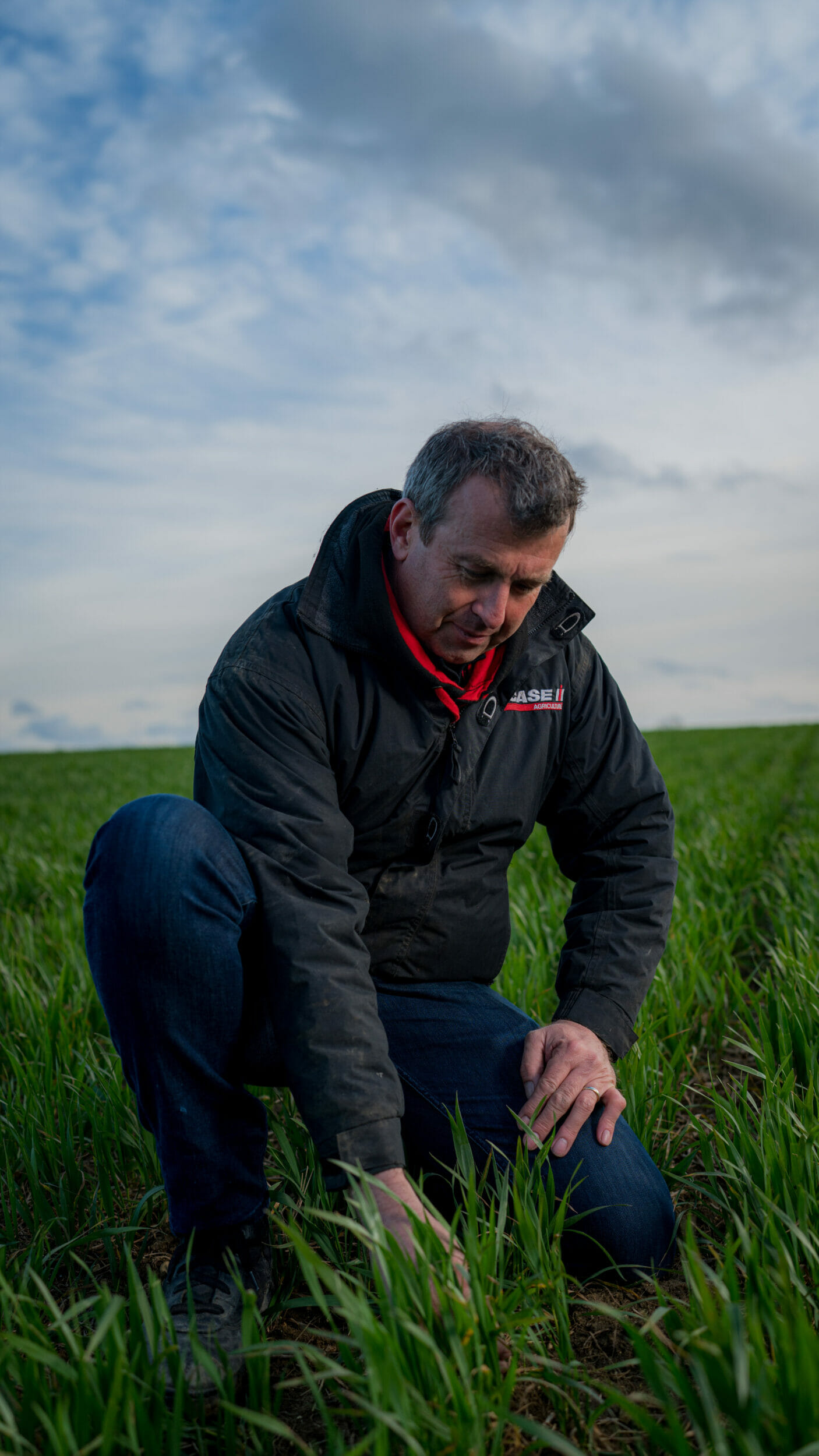 John McCauley_LG Skyscraper winter wheat crop