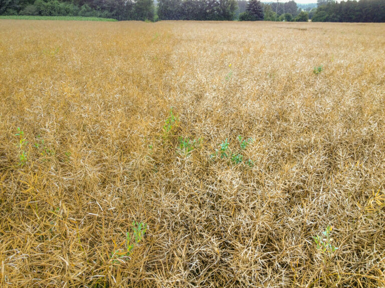 Pod shatter resistance vs no resistance