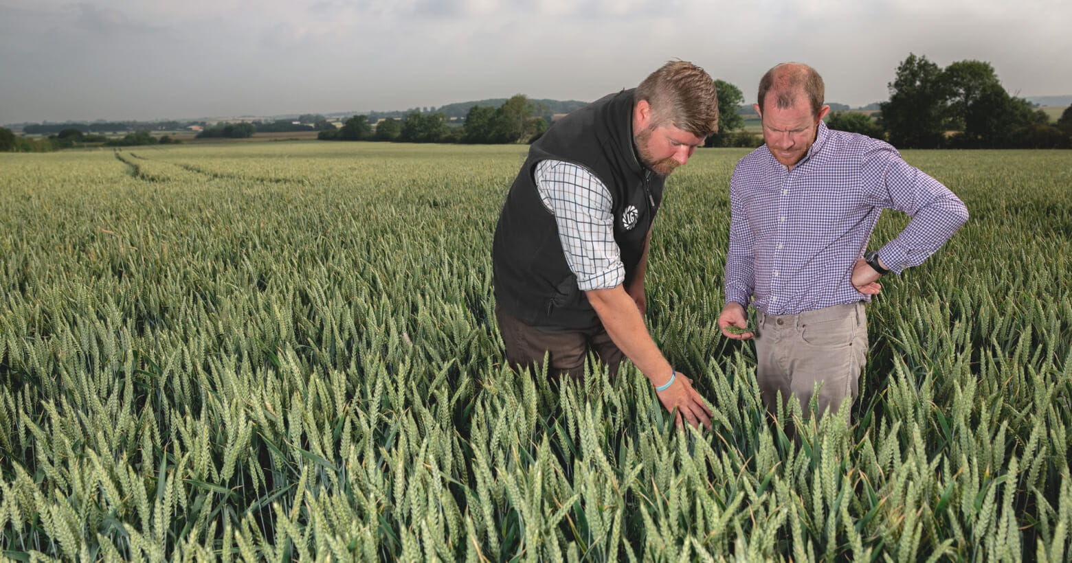 Your trusted  seed partner in  a changing world