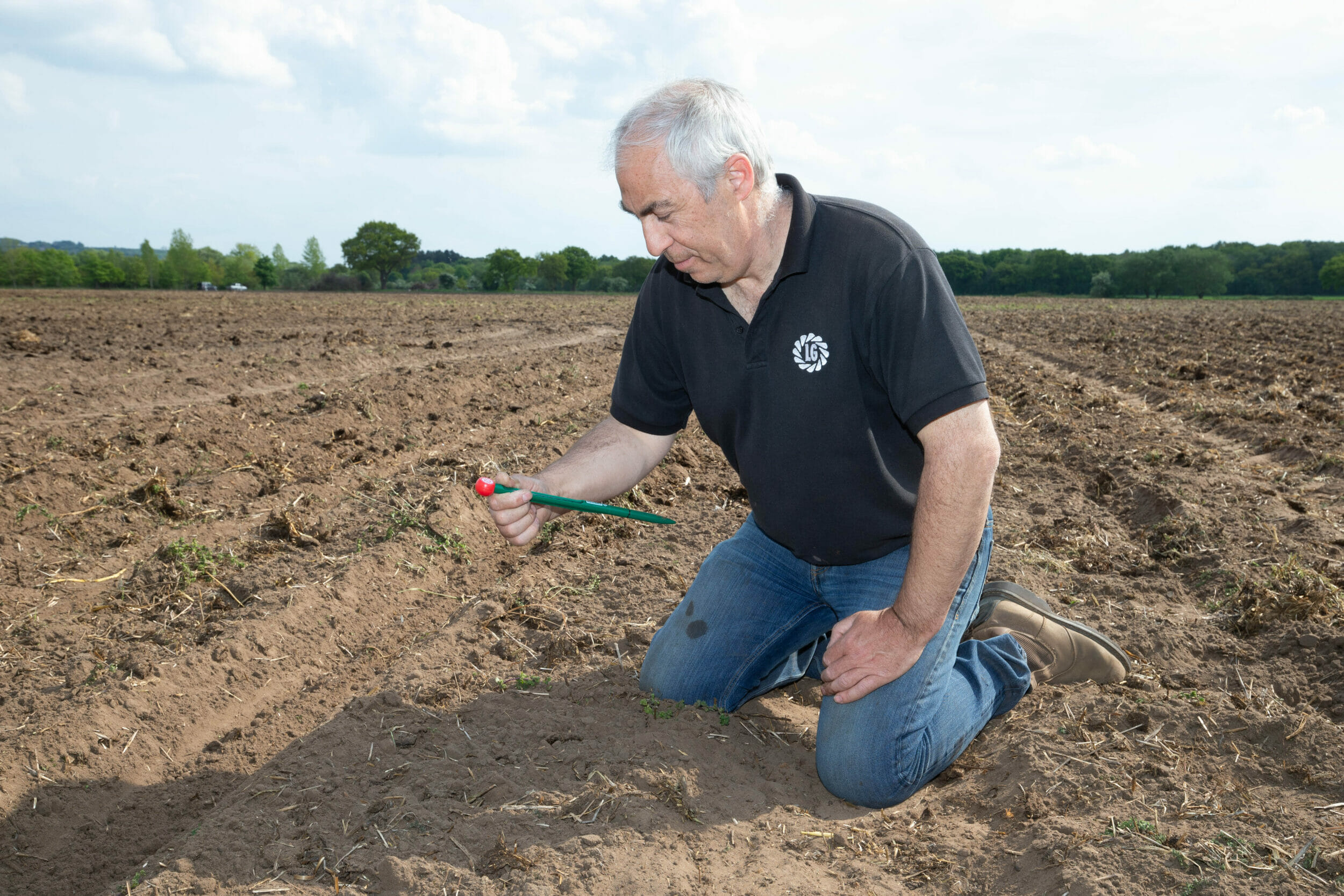 Product_Category_Maize_Richard Camplin_Maize Breeding