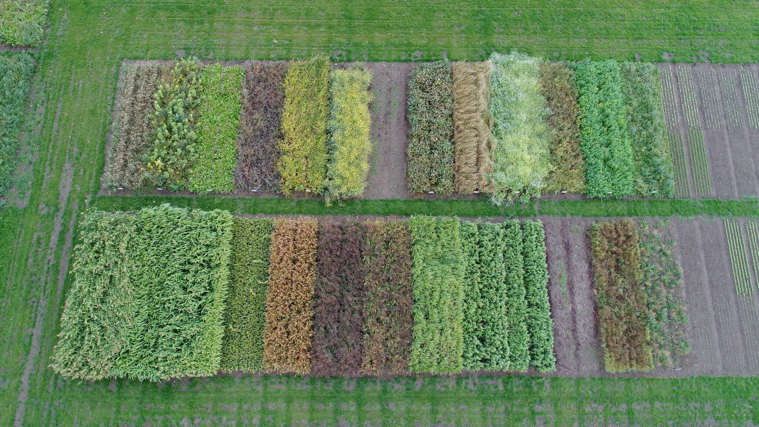 Brant Broughton Drone_Product_Category_Environmental and Amenity_breeding