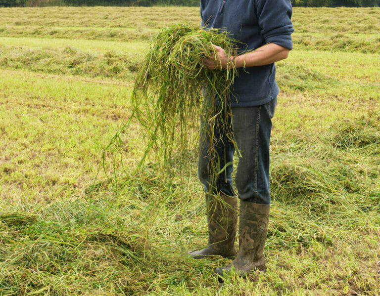 Farmer Chris Tucker LG Monarch Hymax Grass Mixture_Testimonial