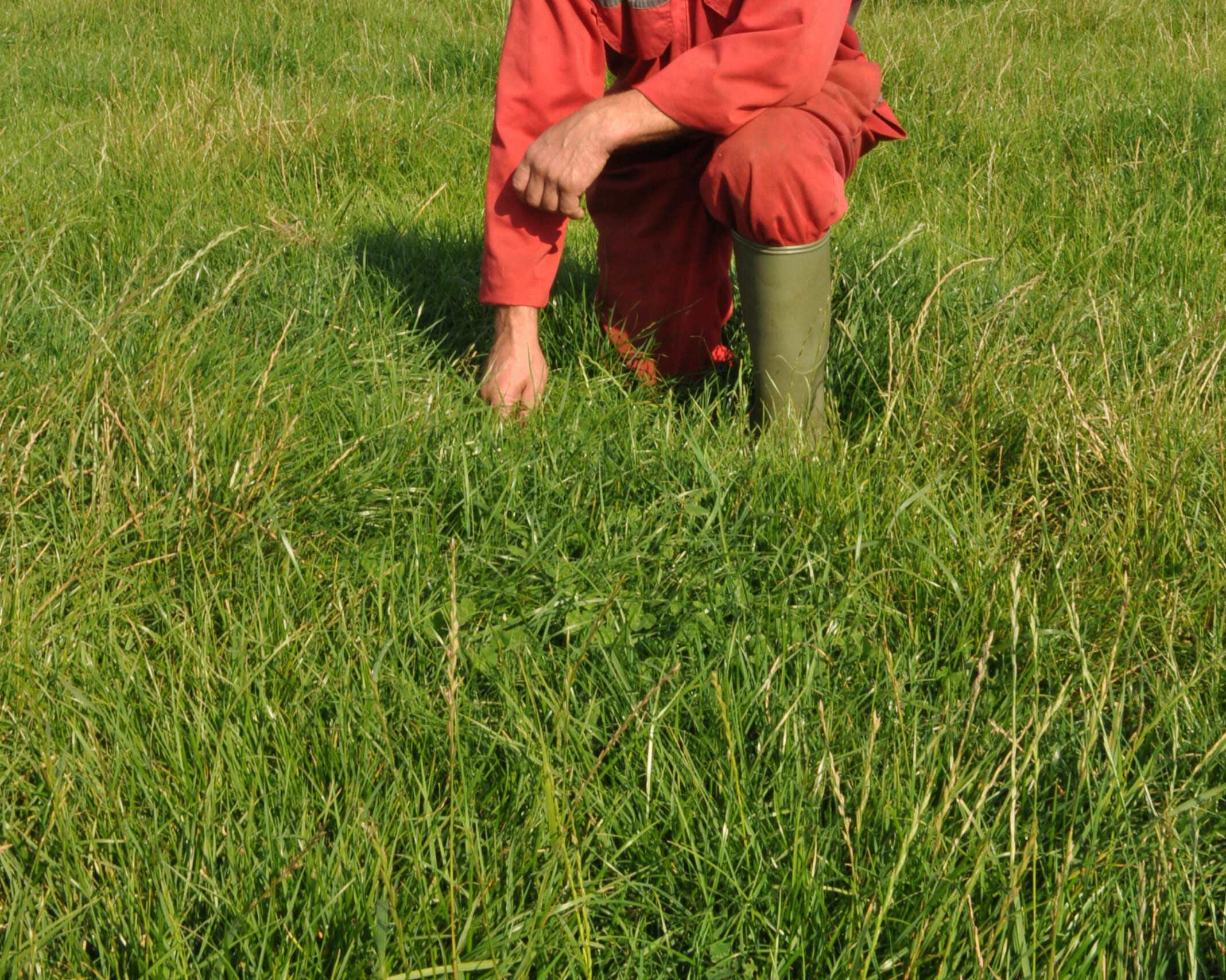 Farmer-Nottinghamshire_Matrix-40