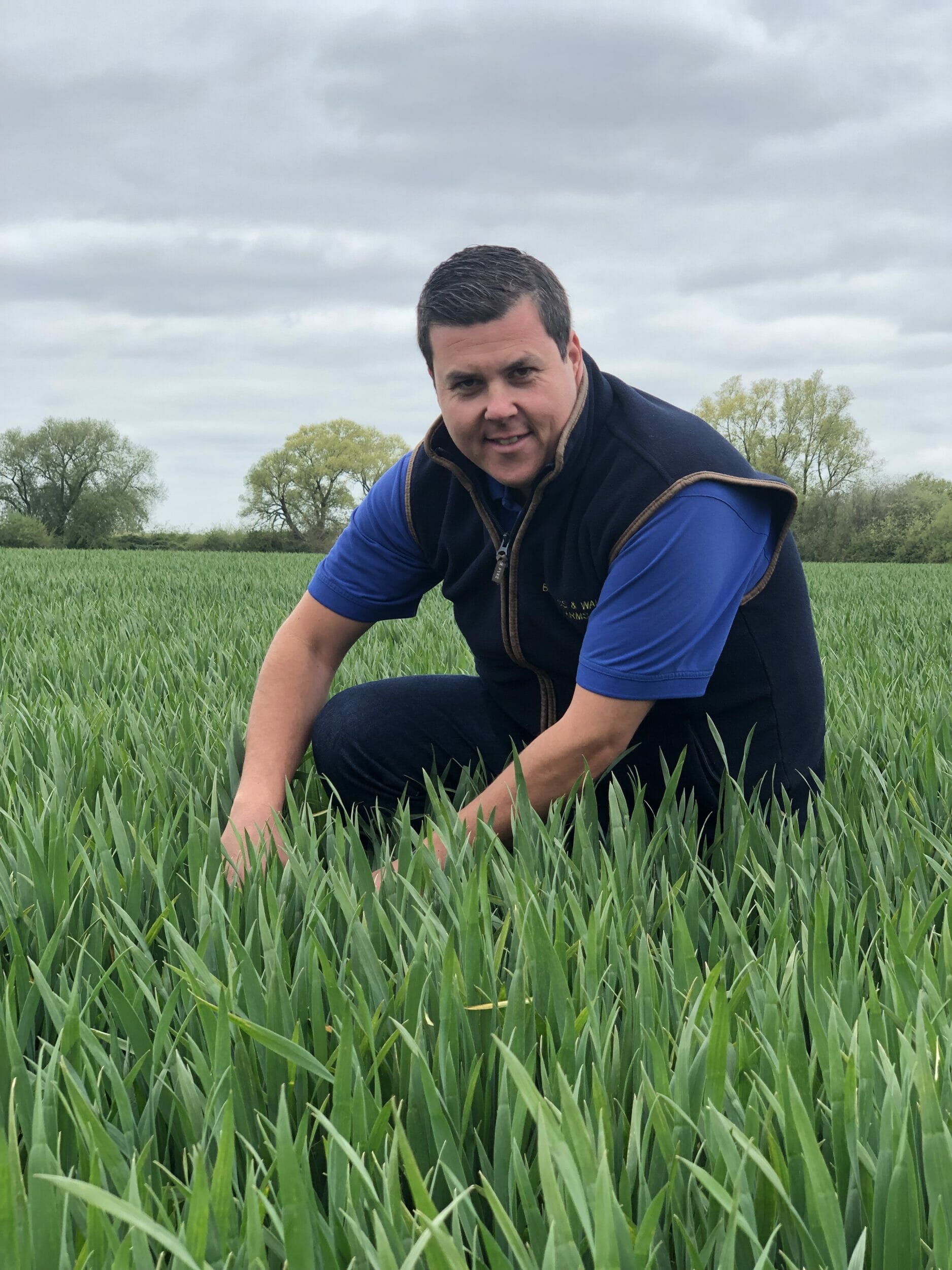 Farmer Paul Wilson - LG Skyscraper Winter Wheat