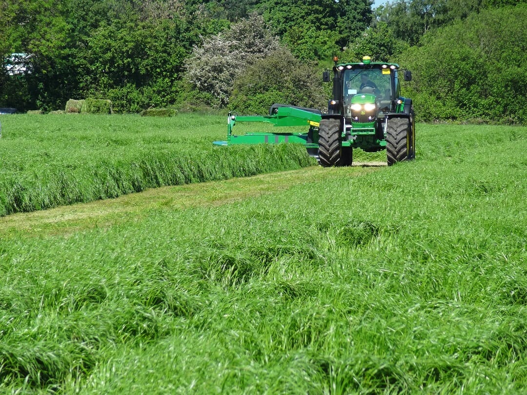 LG Monarch Grass Booster (Enhanced Ryegrass) Mixture