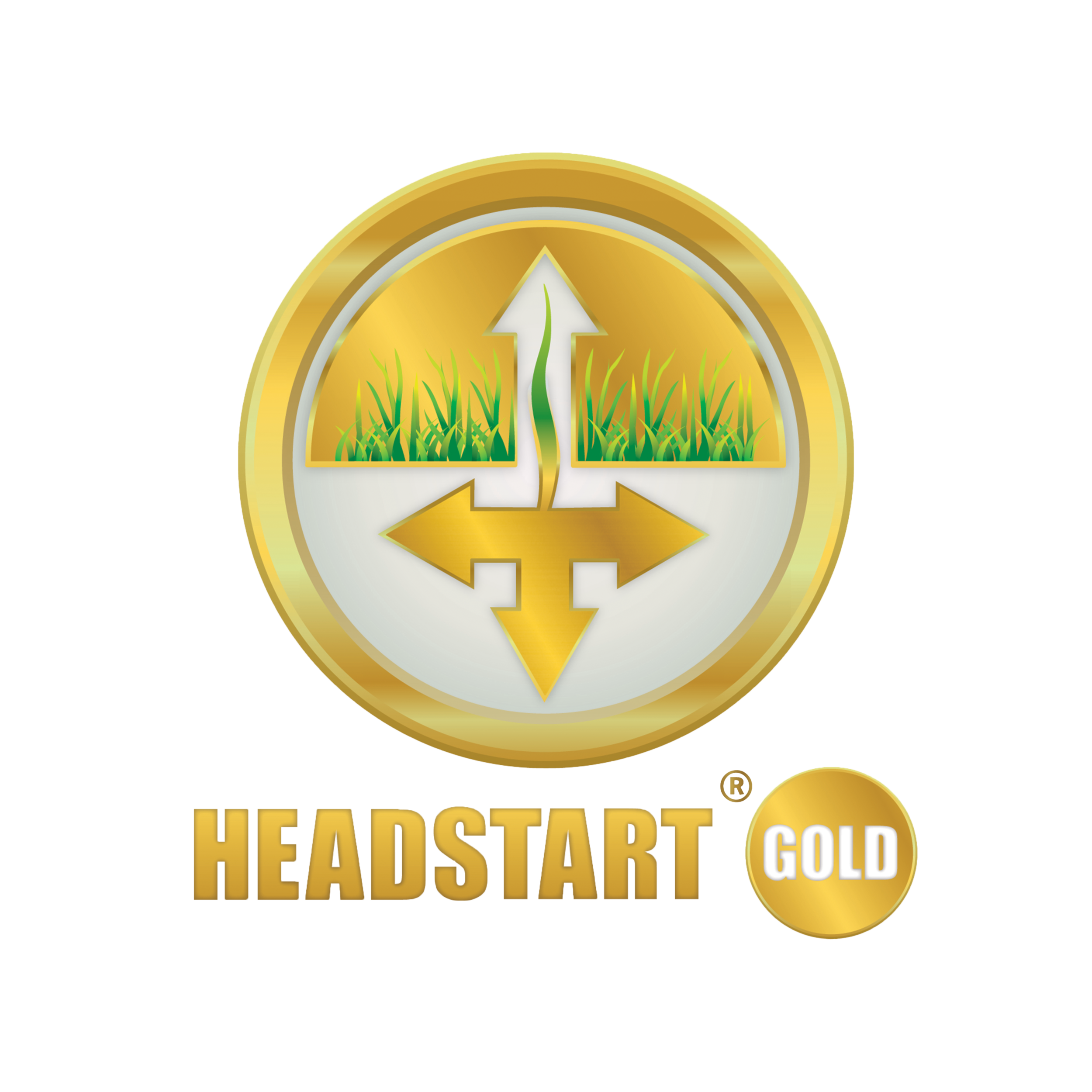 Headstart-Gold-Logo-trans