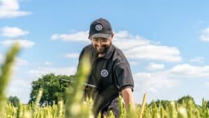 Limagrain breeding team member in Wheat trial plot