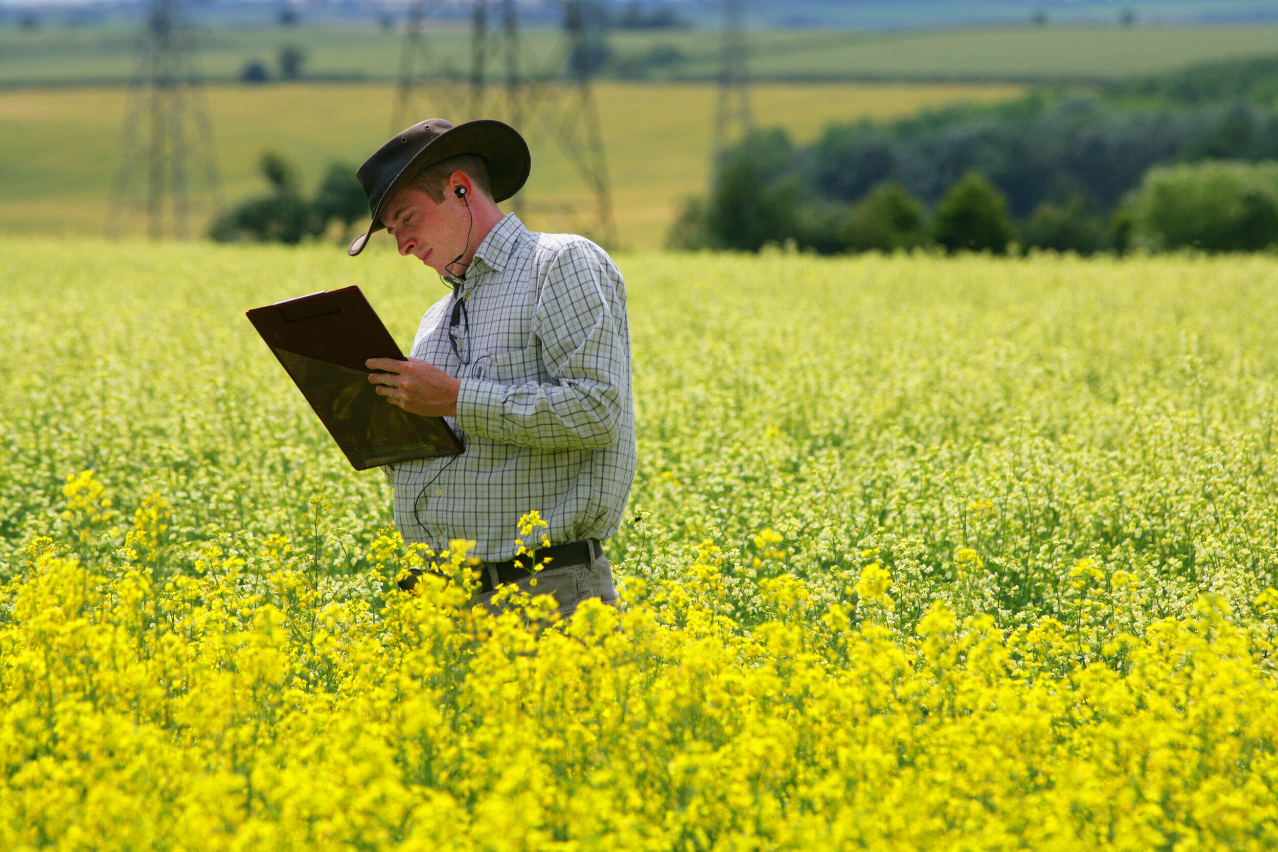 George Hunter Limagrain UK OSR scoring
