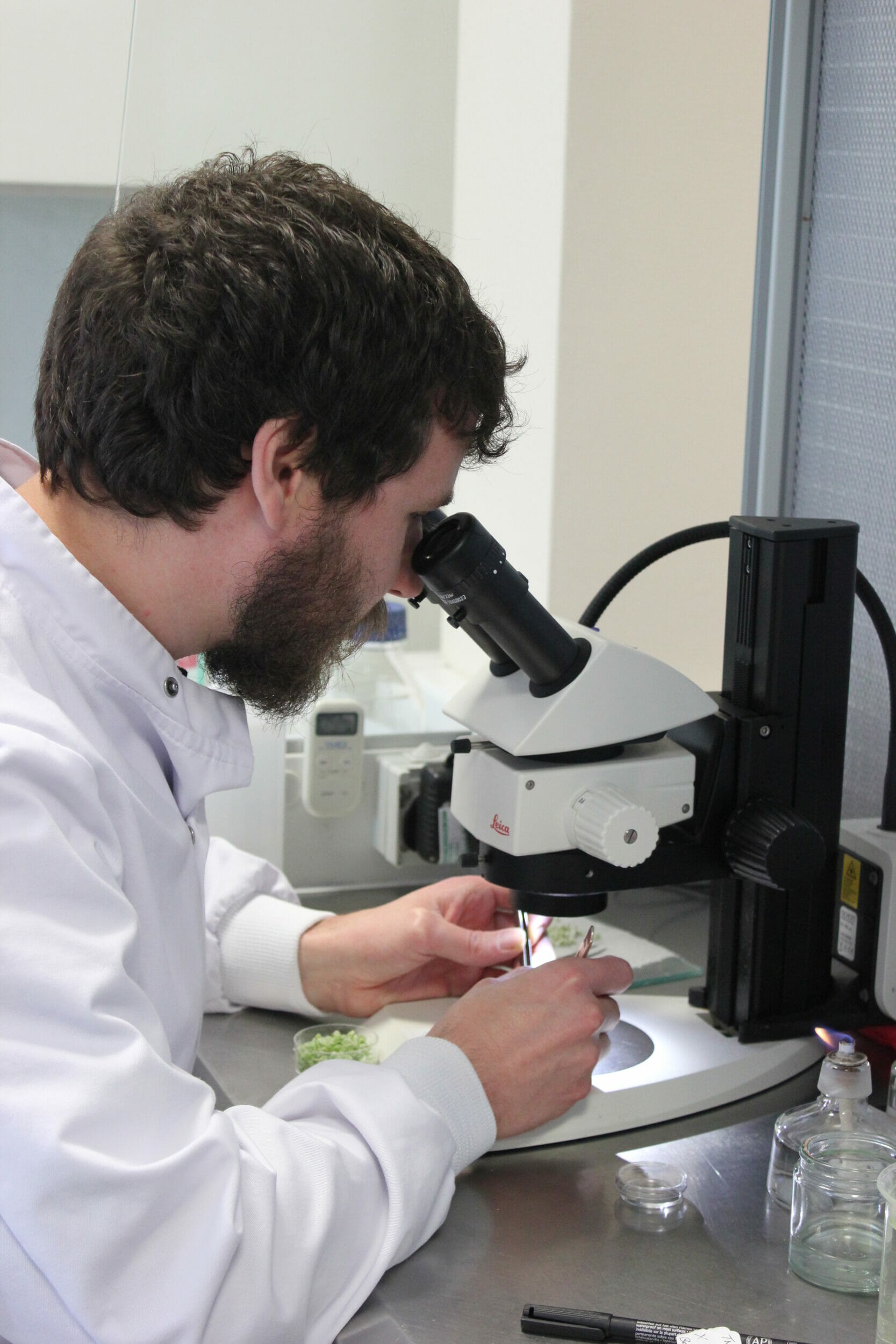 Alex looking into microscope