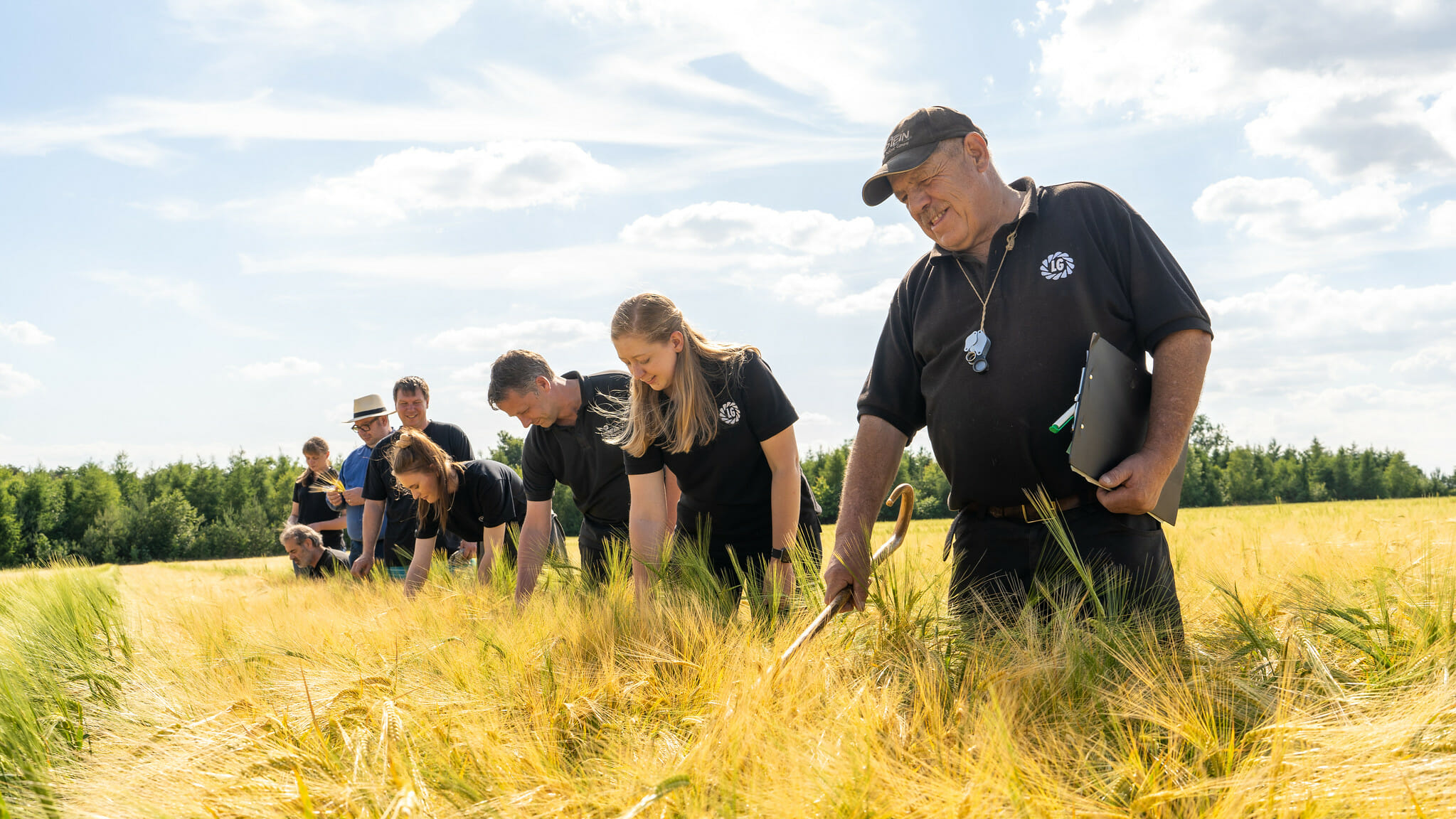 Barley Team