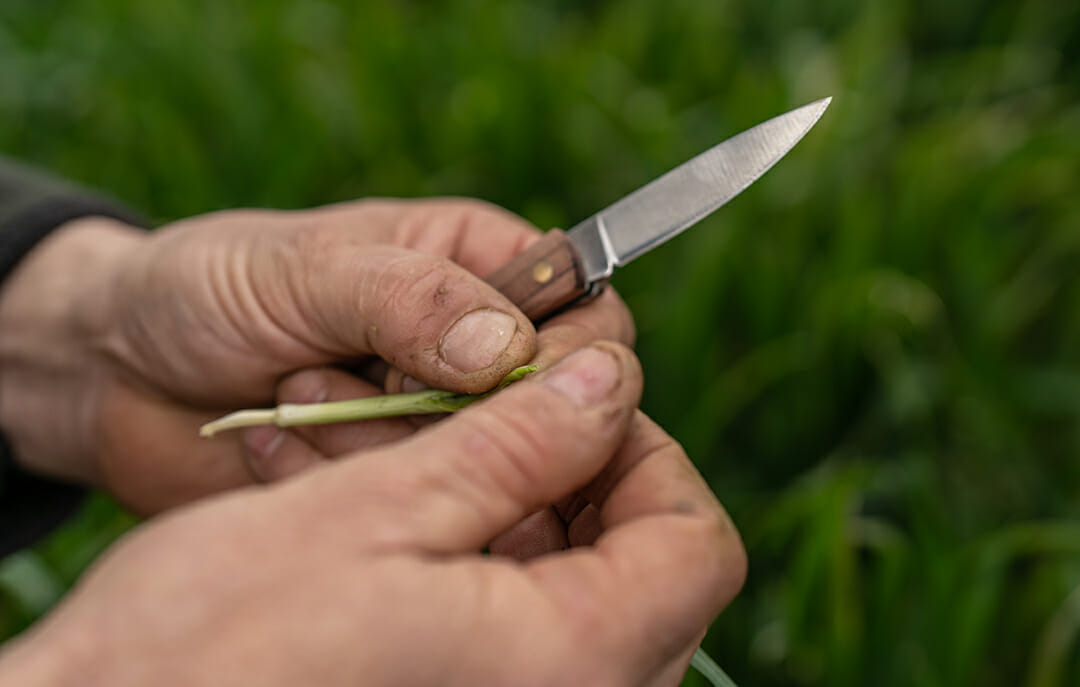 Experience_Farmers Hands_1080px