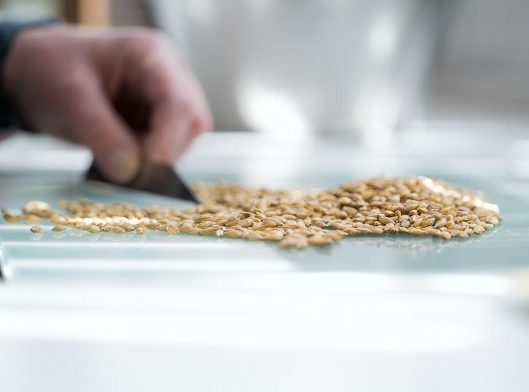 Jenny Mussell - LG seed quality lab HLC barley
