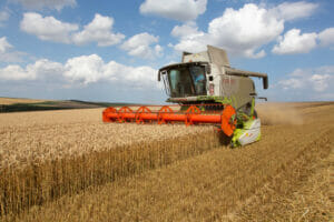 Our products_wheat