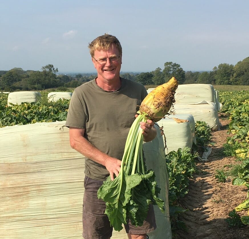 Robbos-fodder-beet-Ed-Friend-dairy-farmer-
