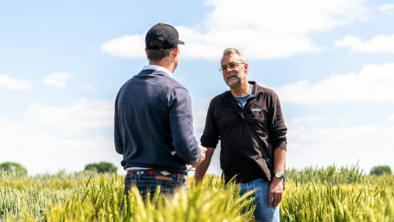 Tom Barker and Paul Rowe in wheat trial plots at Woolpit Suffolk