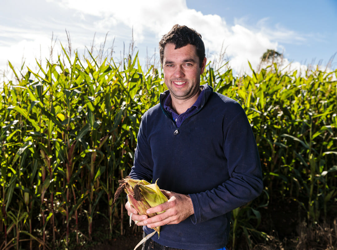 Chris-Withecombe-–-Bideford,-Devon-Resolute-maize
