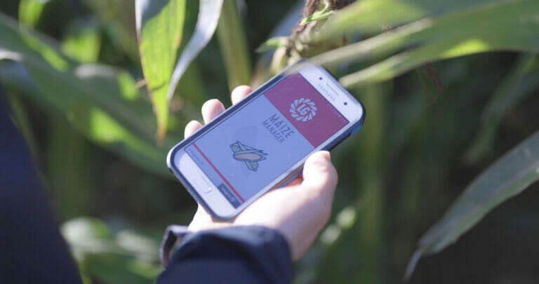 LG Maize Manager App