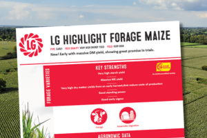 LG Highlight Forage Maize. Early with massive DM yield, showing great promise in trials.