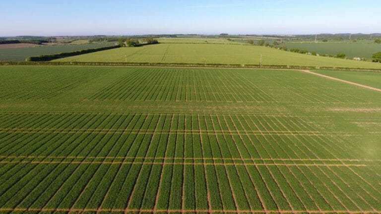 Limagrain UK Trial Plots_Aerial