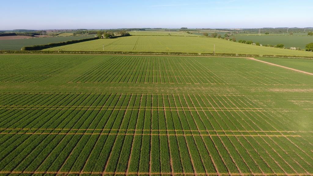 Limagrain UK Trial Plots_Aerial