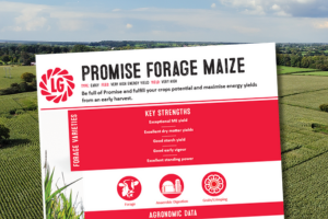 Be full of Promise and fulfil your crops potential and maximise energy yields from an early harvest.