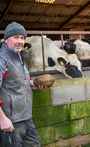 Farmer-Gordon-Tomley_Robbos-fodder-beet-testimonial
