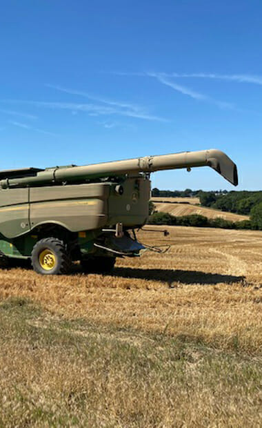 Joe-Adams---Crusoe-winter-wheat