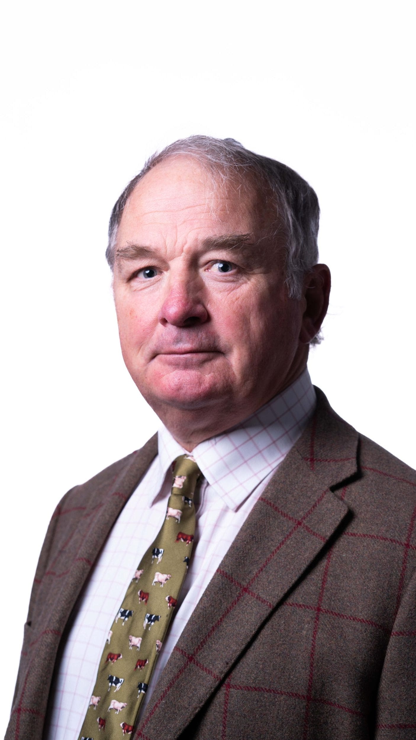 John Heaphy