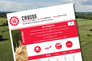 A thumbnail of the Crusoe winter wheat technical data summary. A consistent group 1 milling wheat - widely used and relied on by millers.