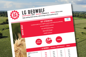 A thumbnail of the LG Beowulf winter wheat technical data summary. A high yielding feed variety, with strong on-farm performance.