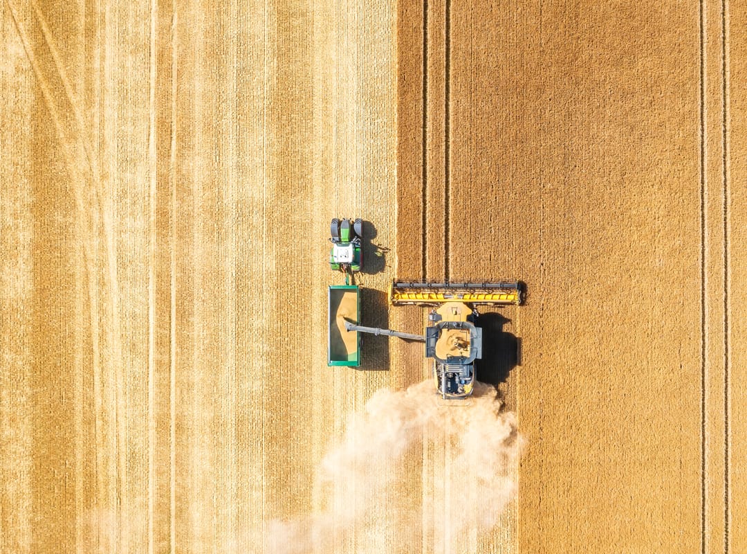 LG-Beowulf-winter-wheat