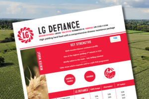 A thumbnail of the LG Defiance winter wheat technical data summary. A high yielding hard feed with a comprehensive disease resistance package.