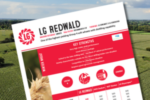 A thumbnail of the LG Redwald winter wheat technical data summary. One of the highest yielding Group 4 soft wheats with distilling capability
