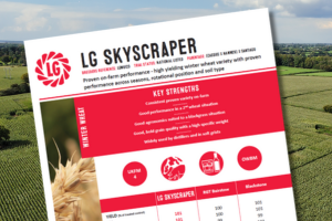 A thumbnail of the LG Skyscraper winter wheat technical data summary. Proven on-farm performance - high yielding winter wheat variety with proven performance across seasons, rotational position and soil type.