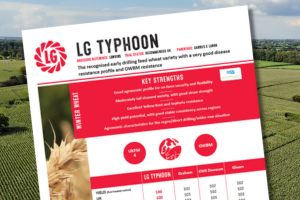 A thumbnail of the LG Typhoon winter wheat technical data summary. The recognised early drilling feed wheat variety with a very good disease resistance profile and OWBM resistance.