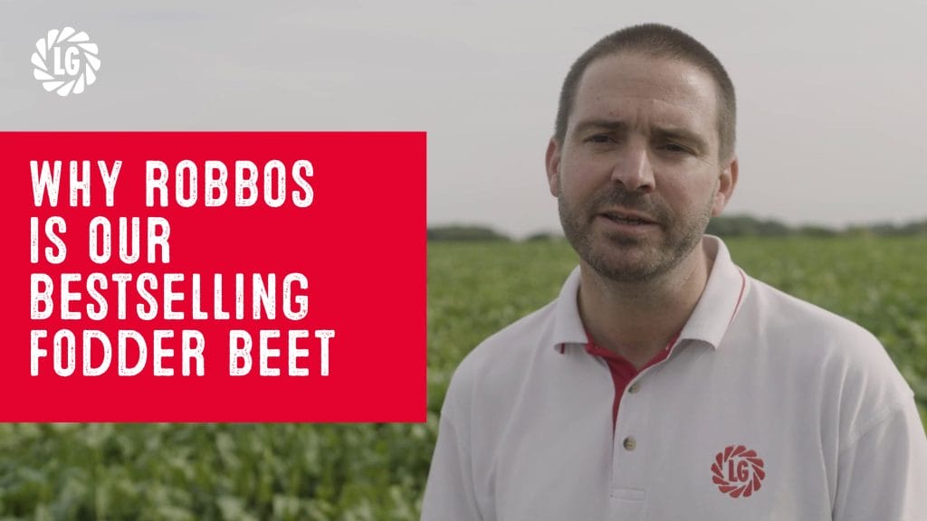 Robbos_John Spence_YouTube Thumbnail