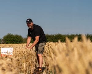 Ron Granger, Limagrain’s Arable Technical Manager, in an LG crop field.