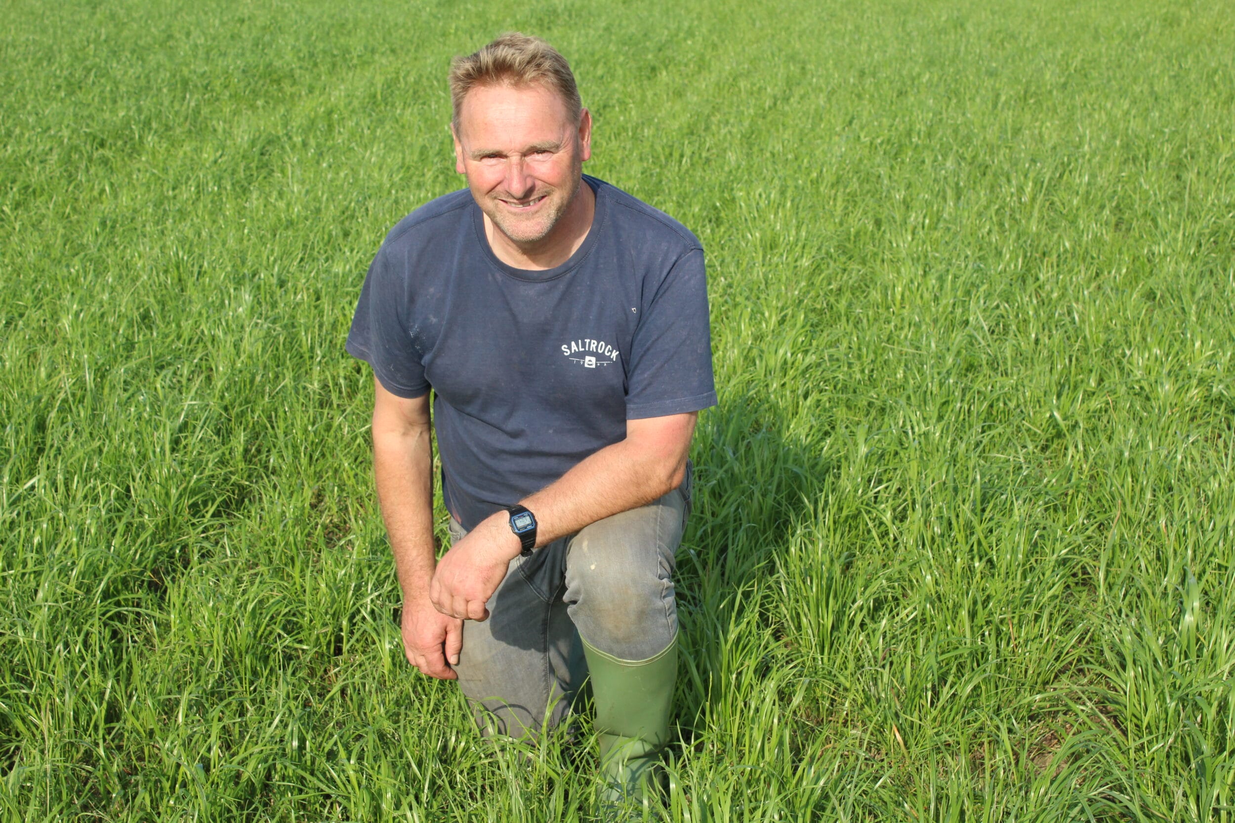Nick Zeale, Woolacombe, north Devon in crop of Sinclair McGill Colossal Silage grass