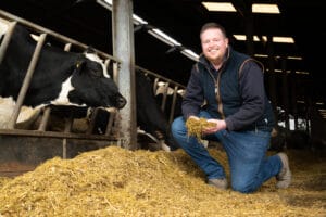 George Morris with his cows feeding on maize silage