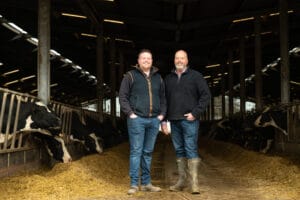George and Neil Morris and their dairy herd