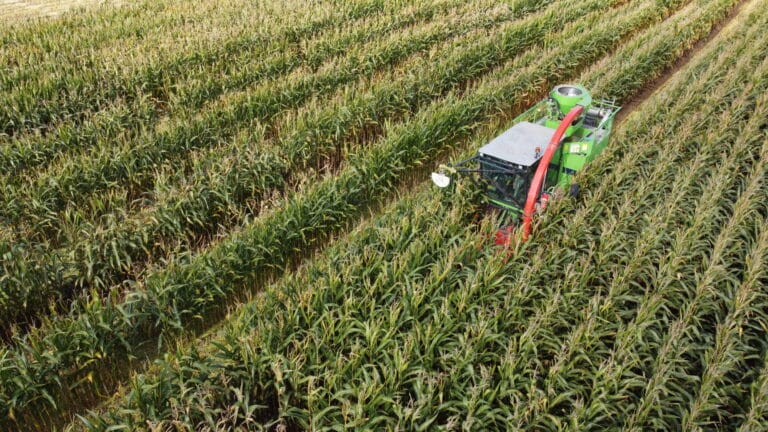 Drone view of Limagrain maize trials