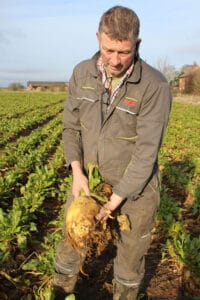 Darren Brown with Robbos Fodder Beet 
