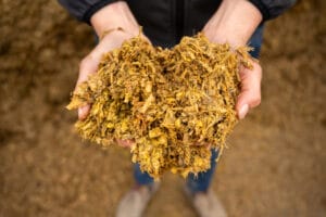 Josh Evans Oswestry Skipper silage in hands