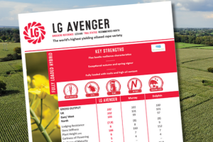 thumbnail of the Avenger oilseed rape technical data summary. The world’s highest yielding oilseed rape variety.