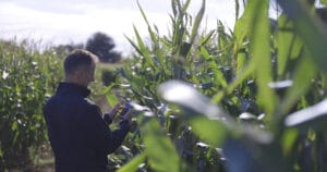 Tim Richmond_Maize Product Manager, Limagrain