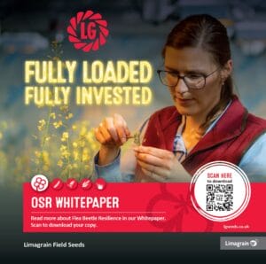 LG OSR Cabbage Stem Flea Beetle Whitepaper
