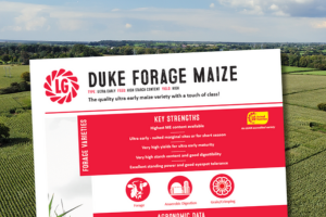 Duke Forage Maize, the quality ultra early maize variety with a touch of class!