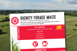 Dignity Forage Maize, One of the highest DM yielding, very early maize varieties available.