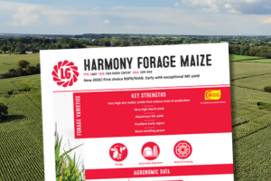 Information sheet showing data for harmony forage maize that is great for milk production in dairy farming
